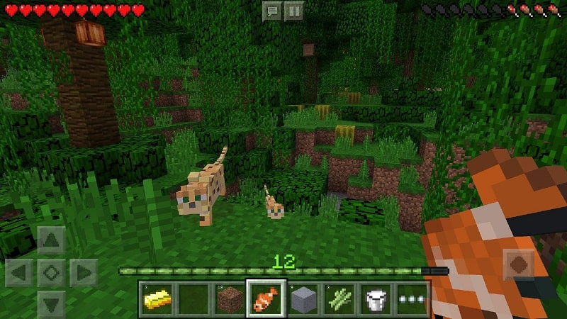 Minecraft mod