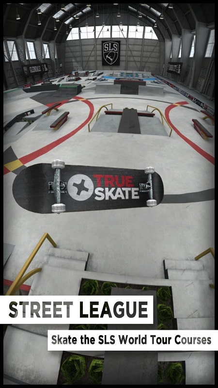 True Skate mod free