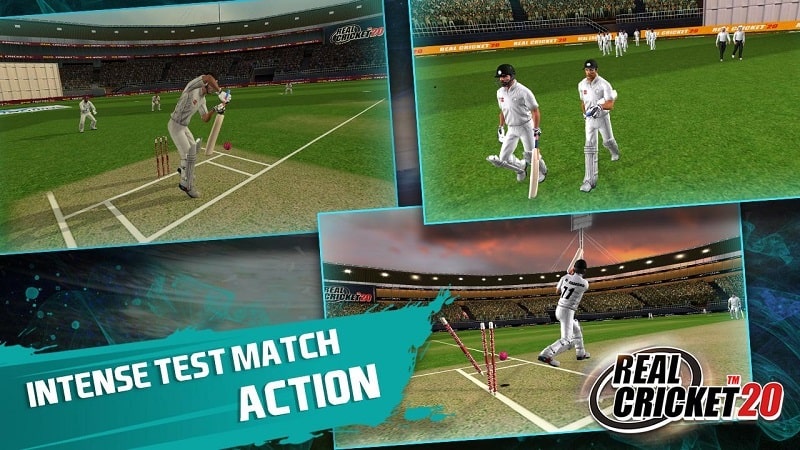 Real Cricket 20 mod download