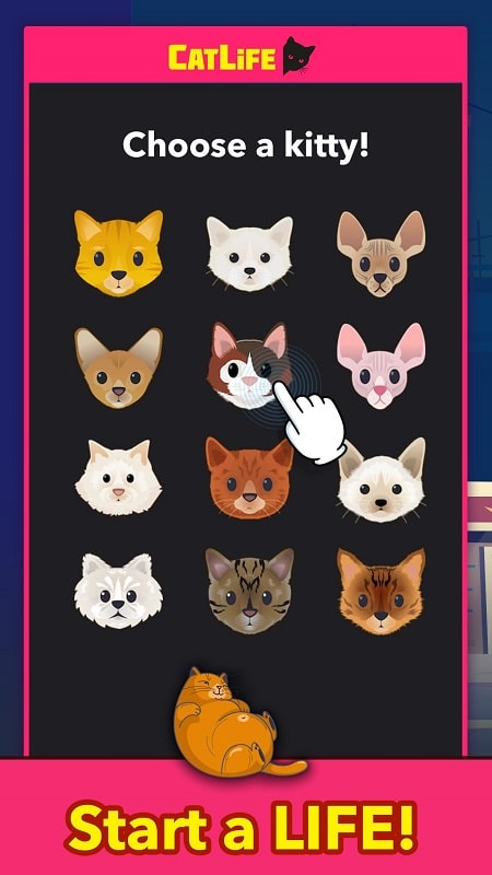 CatLife BitLife Cat Game mod