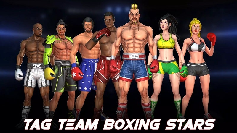 Tag Team Boxing Game mod android