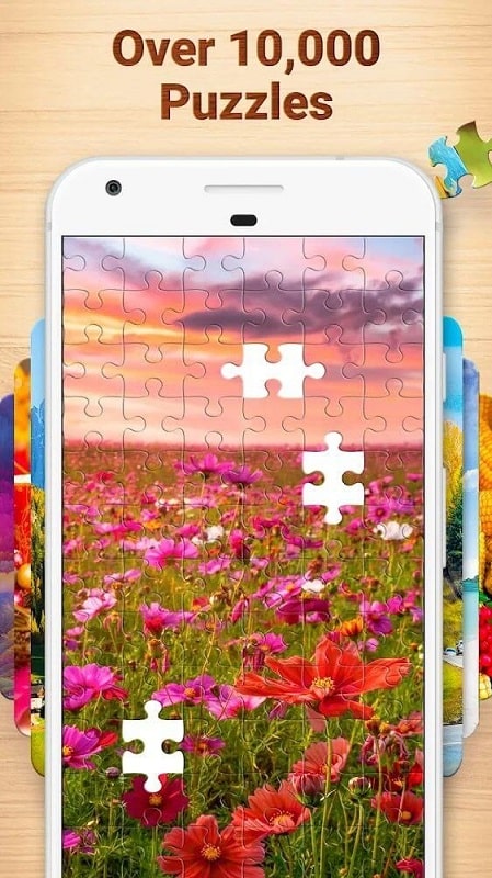 Jigsaw Puzzles puzzle game mod apk