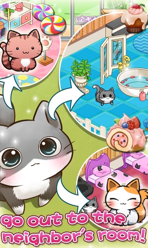 Cat Room mod apk