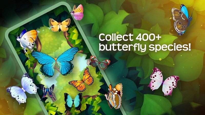 Flutter Butterfly Sanctuary apk free