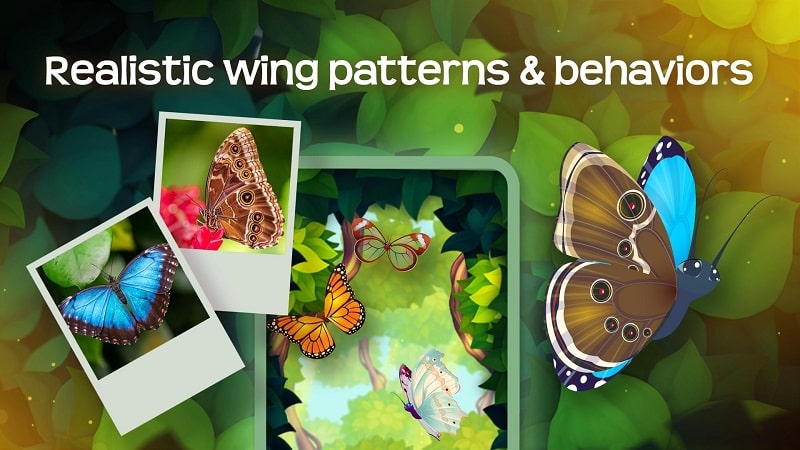 Flutter Butterfly Sanctuary apk