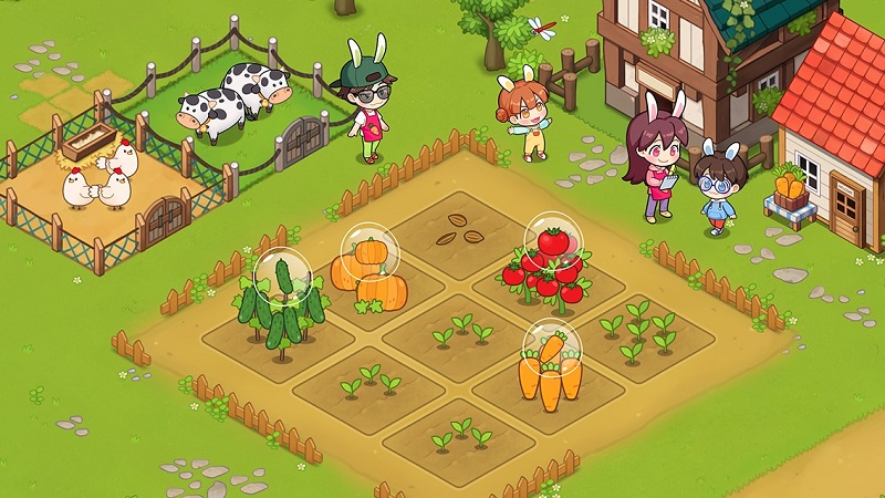 Rabbit Familys Carrot Farm